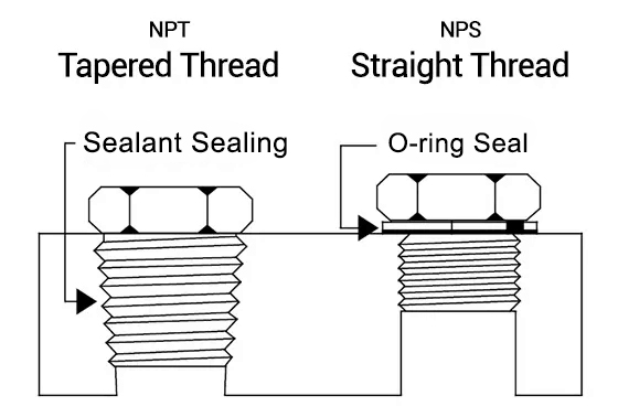 NPT مقابل NPs